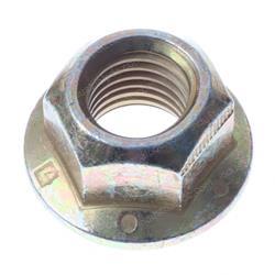 Picture of Drive Wheel Nut
