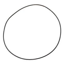 Picture of O-Ring