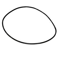 Picture of O-Ring
