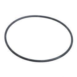 Picture of O-Ring