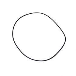 Picture of O-Ring