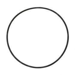 Picture of O Ring
