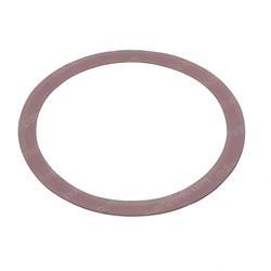 Picture of Shim - Plastic .013