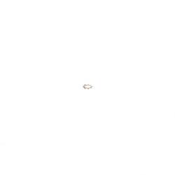 Picture of Lockwasher Ext Type #2