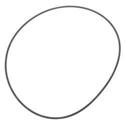 Picture of O-Ring