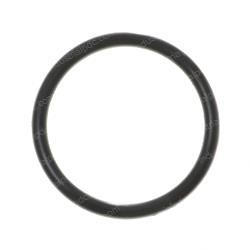 Picture of O-Ring