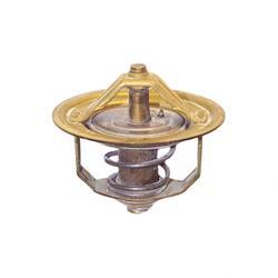 Picture of Thermostat - 71c