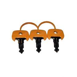 Picture of Key Set 701  - 3