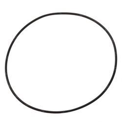 Picture of O-Ring