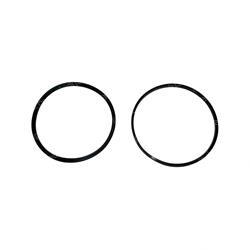Picture of Seal