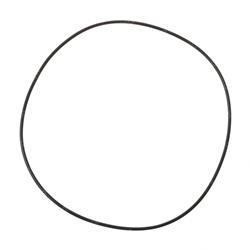 Picture of O-Ring