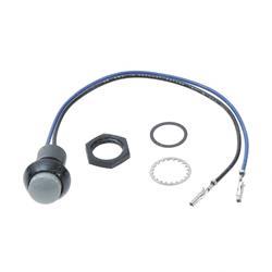 Picture of Switch - Push Button