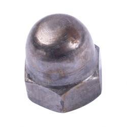 DINOM0800.003