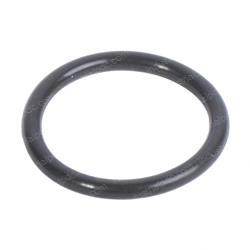Picture of O-Ring