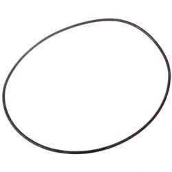 Picture of O-Ring