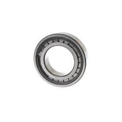 Picture of Bearing