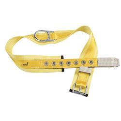 Picture of Belt - Safety Body L