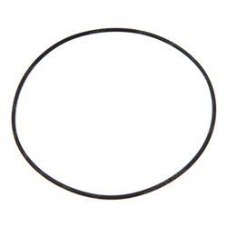 Picture of O-Ring