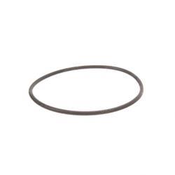 Picture of O-Ring