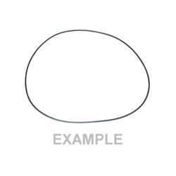 Picture of O-Ring