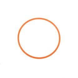 Picture of Ring - Back Up