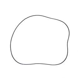 Picture of O-Ring