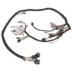Picture of Harness