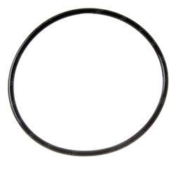 Picture of O-Ring