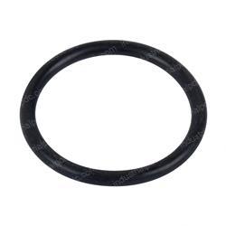 Picture of O-Ring