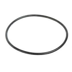 Picture of O-Ring