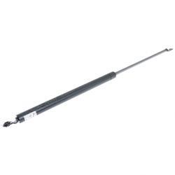 Picture of Spring Gas