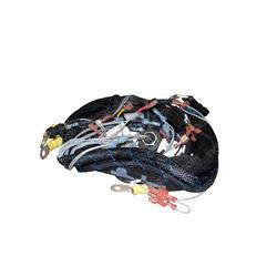 Picture of Harness - Main