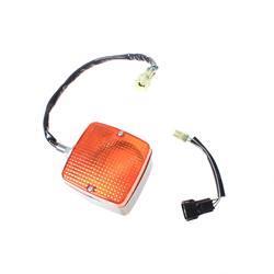 Picture of Lamp Assembly