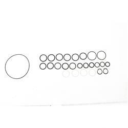 Picture of Overhaul Kit - Valve