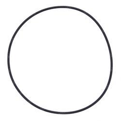 Picture of O-Ring
