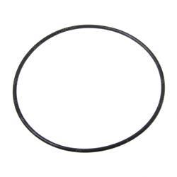 Picture of O-Ring