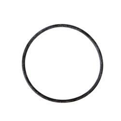 Picture of O-Ring