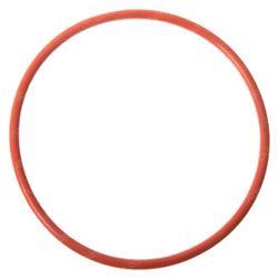 Picture of O-Ring