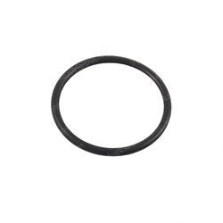 Picture of O-Ring