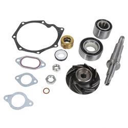 Picture of Pump Repair Kit