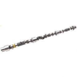 Picture of Camshaft