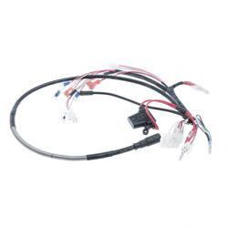 Picture of Main Control Wiring Harness
