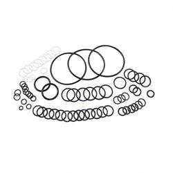 BT BT046762074171 SEAL KIT - HYDRAULIC