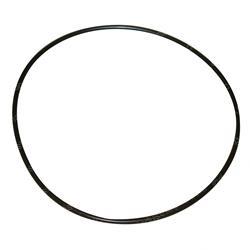 Picture of O-Ring