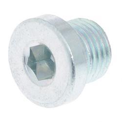 Picture of Screw Plug M10 X 1