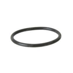 Picture of O-Ring