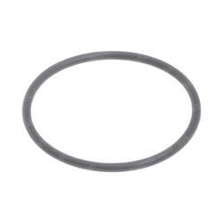Picture of O-Ring