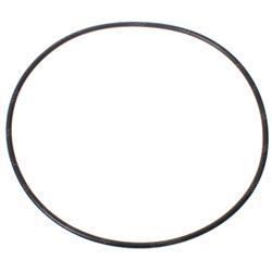 Picture of O-Ring