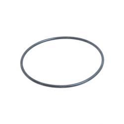 Picture of O-Ring