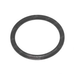Picture of O-Ring